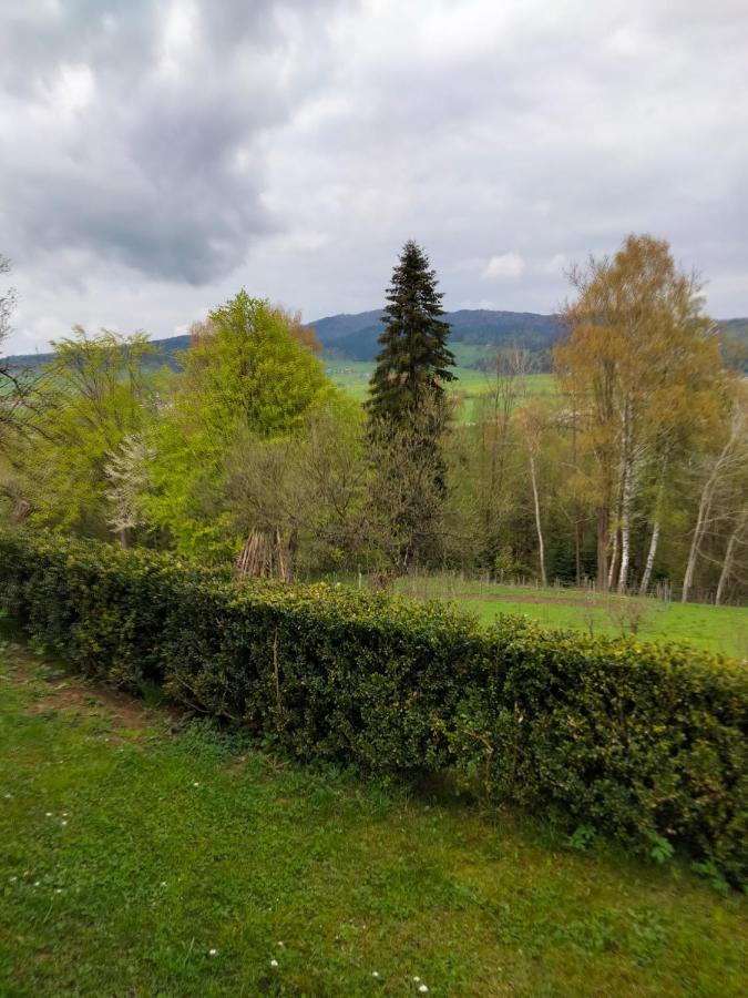 Apartament W Ogrodzie Tylka Bagian luar foto