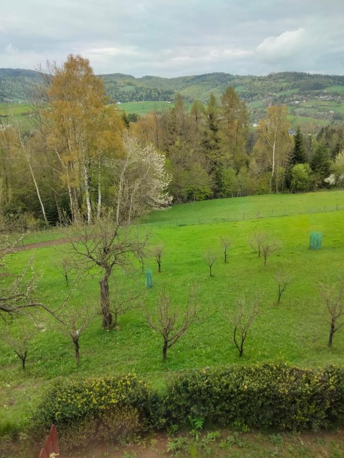 Apartament W Ogrodzie Tylka Bagian luar foto